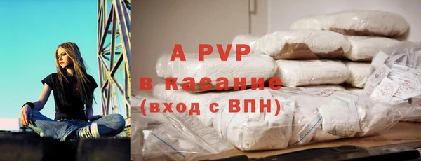 гидра Алексин