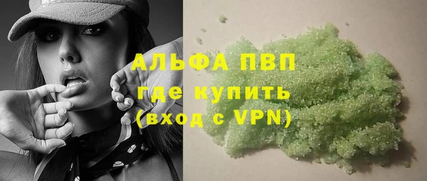 гидра Алексин