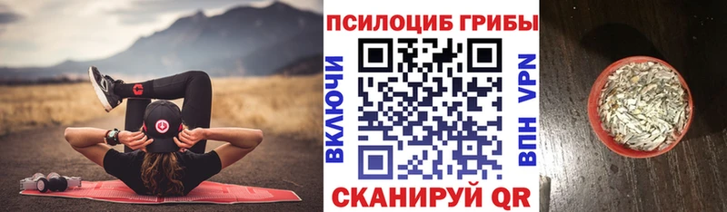 OMG tor купить наркоту Рубцовск Псилоцибиновые грибы Psilocybe