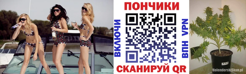 Конопля марихуана Рубцовск